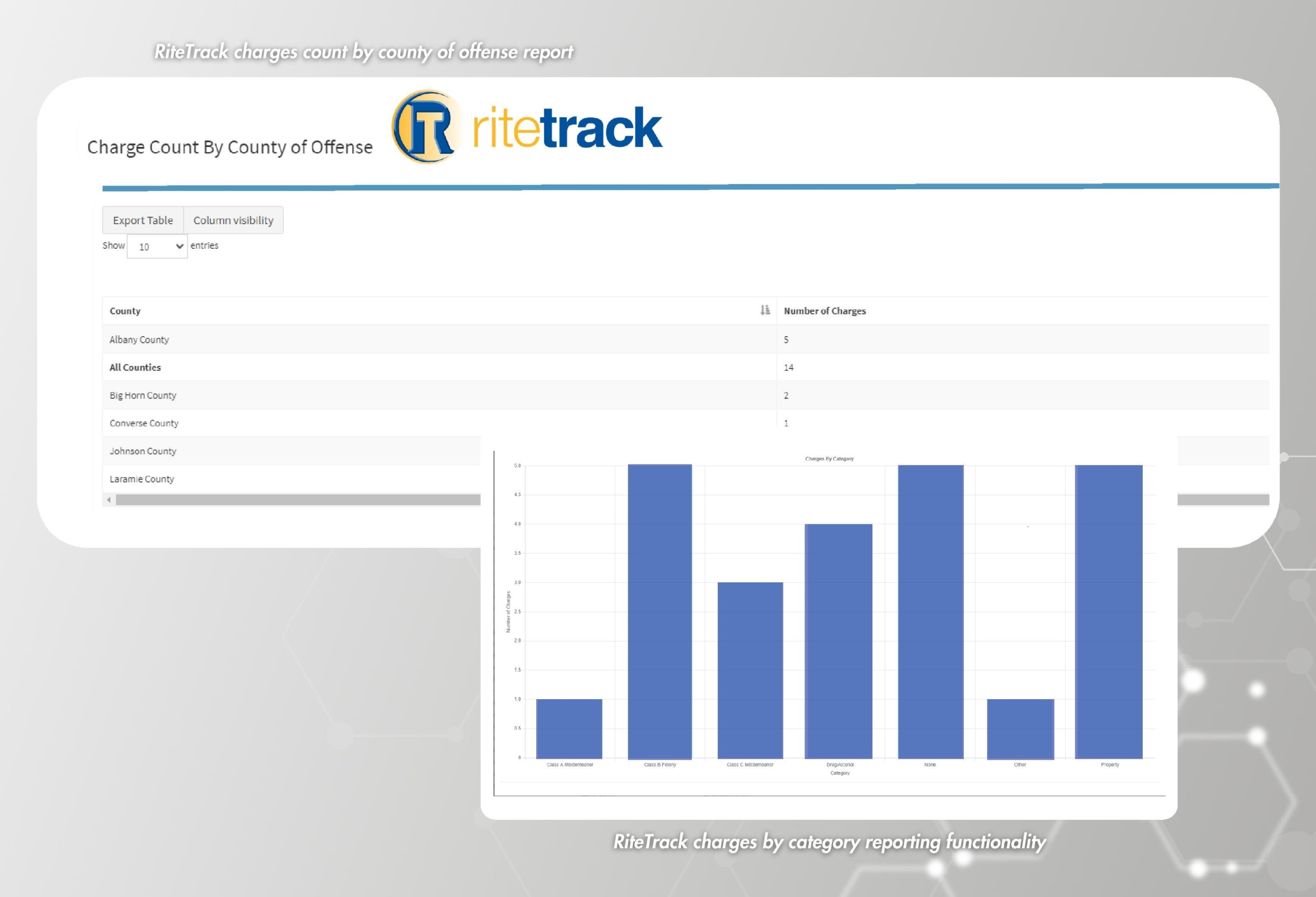RiteTrack Tribal Court, Juvenile Court, and Treatment Court Software Example Screenshot
